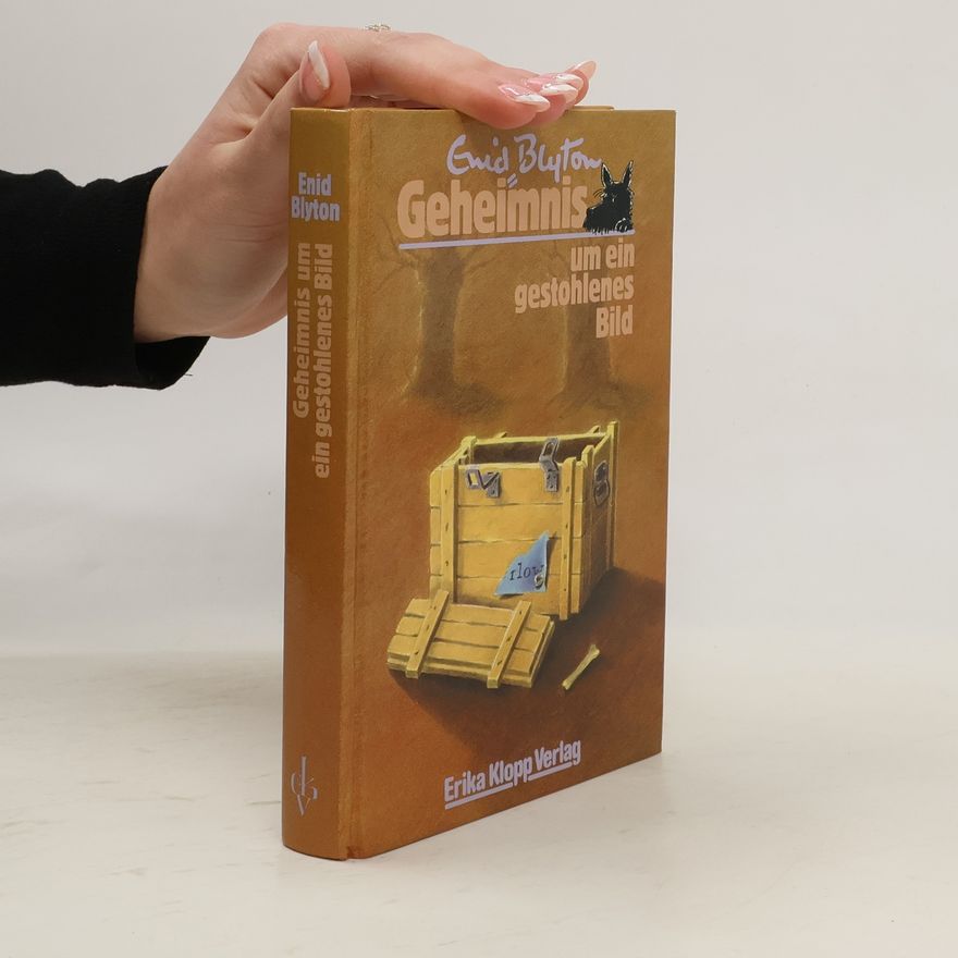 Enid Blyton Geheimnis um ein gestohlenes Bild
