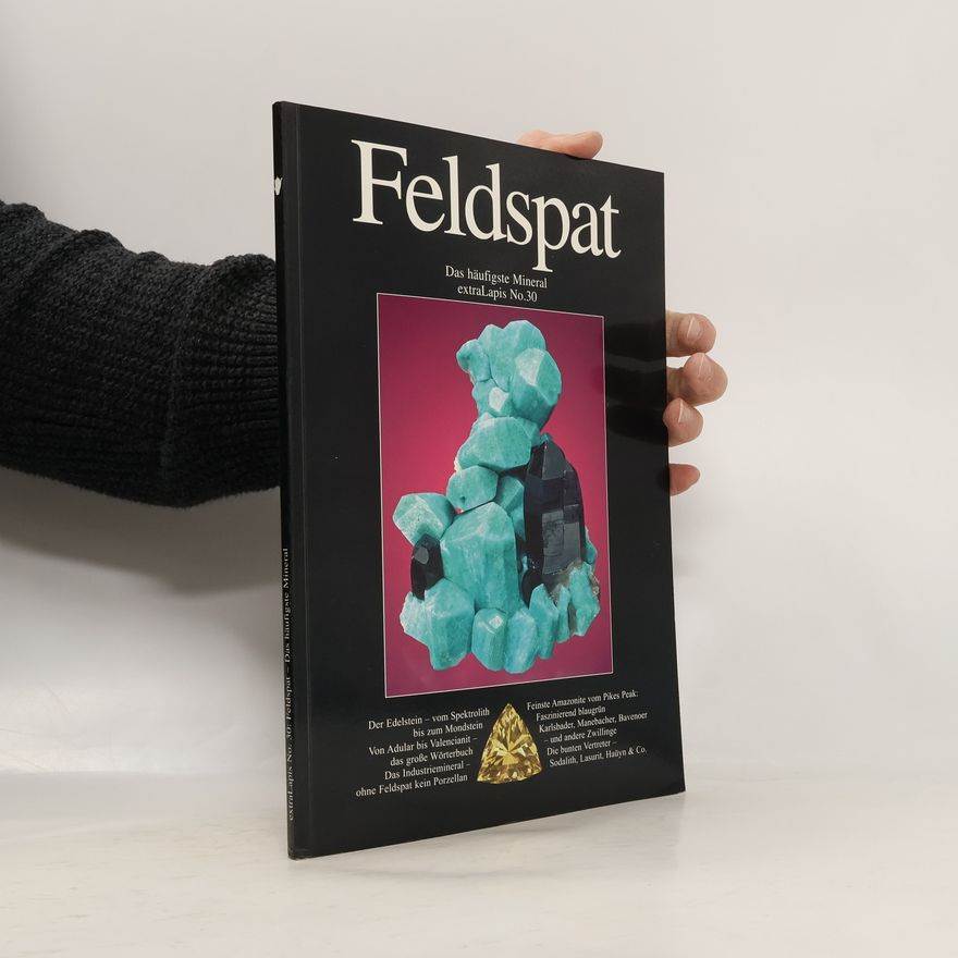 Kolektiv autorů Feldspat