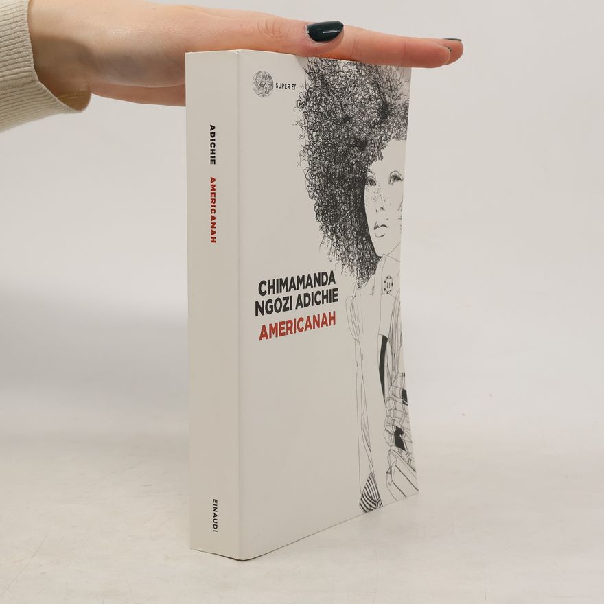 Chimamanda Ngozi Adichie Americanah