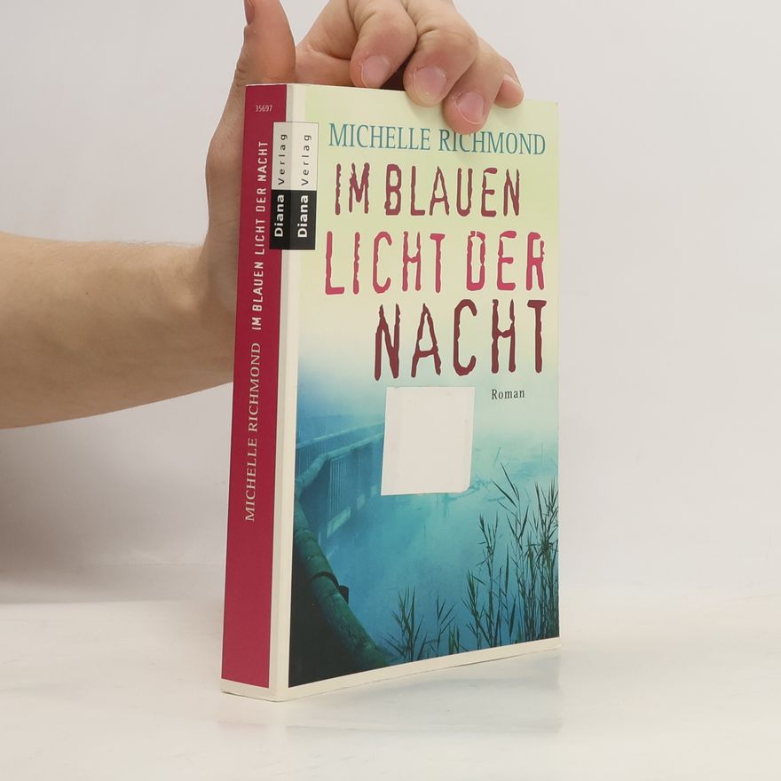 Michelle Richmond Im blauen Licht der Nacht