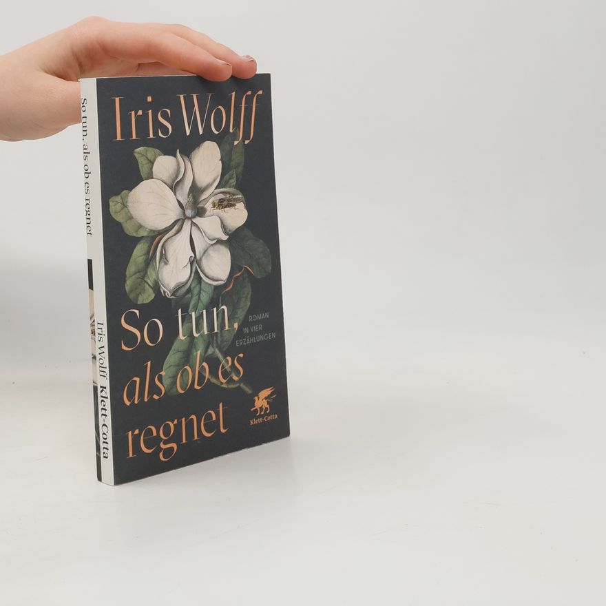 Iris Wolff So tun, als ob es regnet