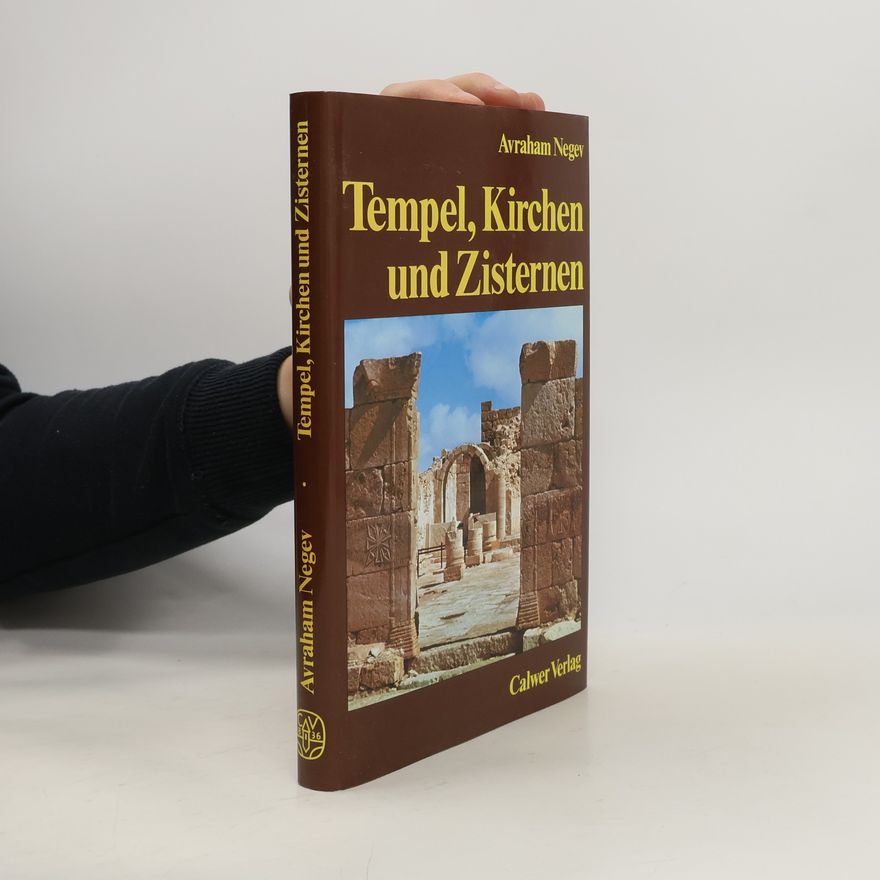 Avraham Negev Tempel, Kirchen und Zisternen