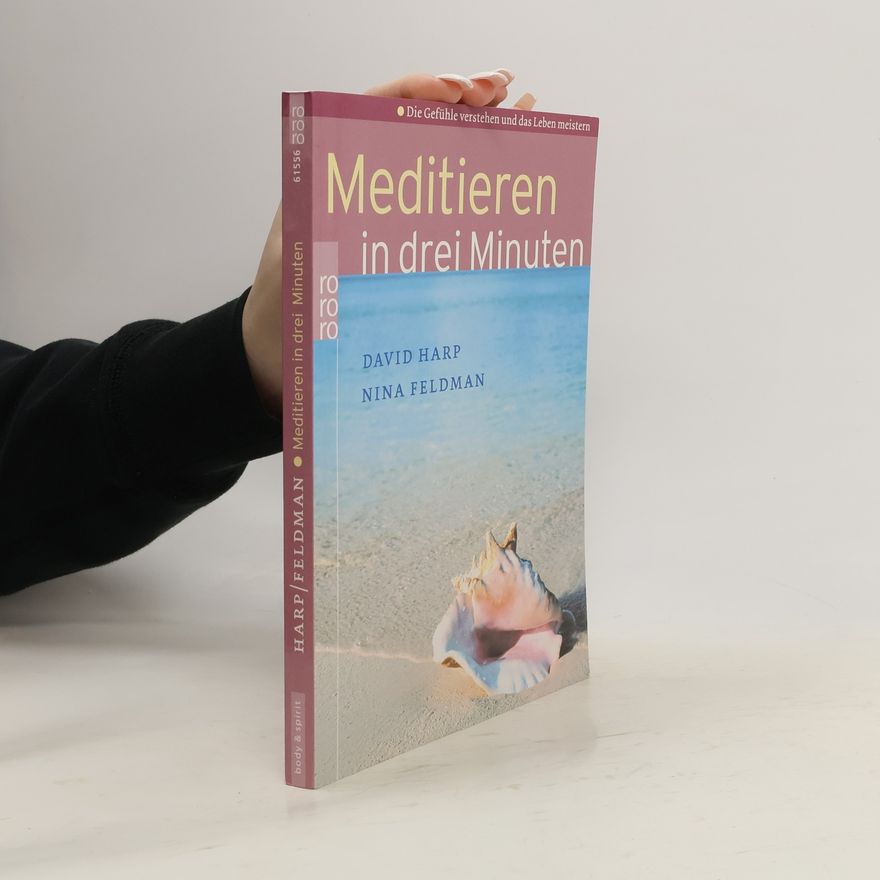 David Harp Meditieren in drei Minuten
