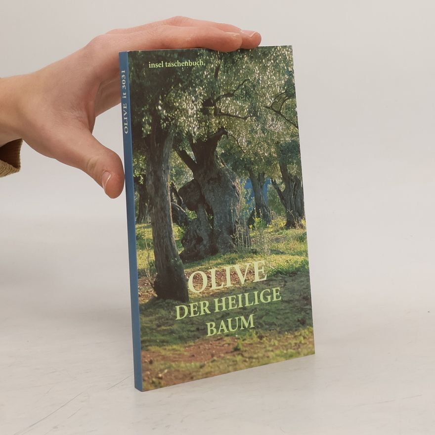 Andrea Schellinger Insel Taschenbuch: Olive: Der heilige Baum. Geschichten und Gedichte