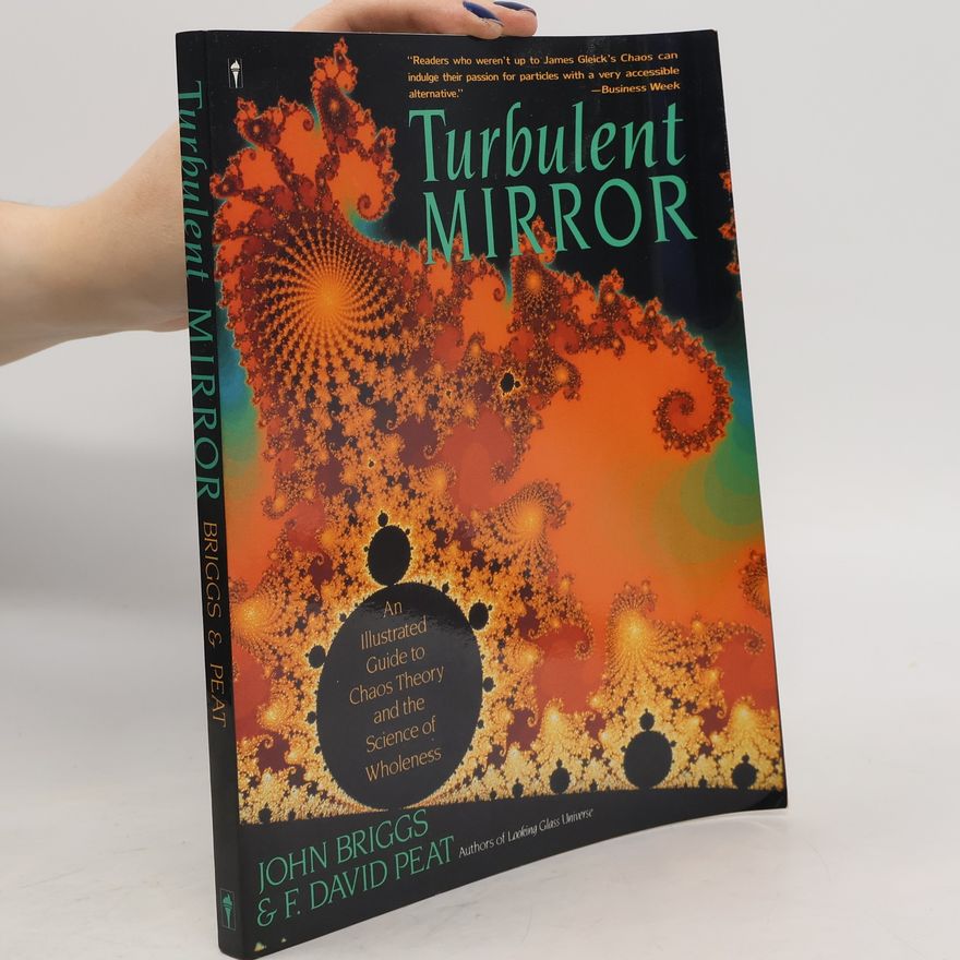 John P. Briggs Turbulent Mirror