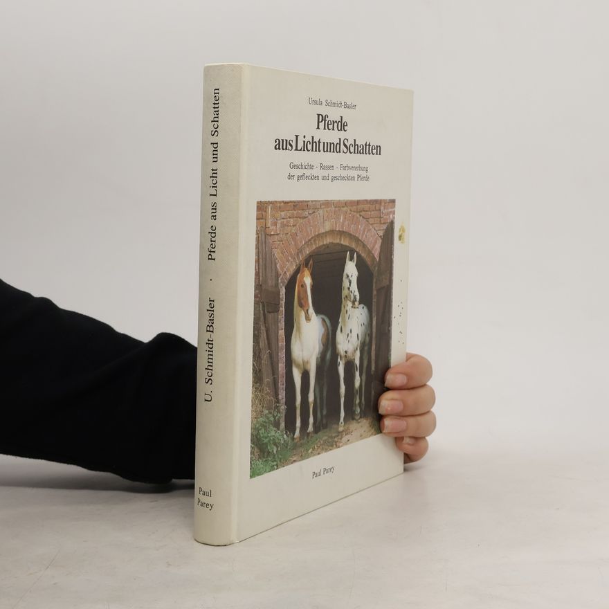 Ursula Schmidt Basler Pferde aus Licht und Schatten
