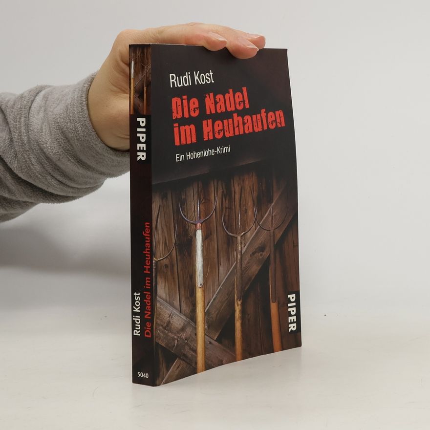 Rudi Kost Die Nadel im Heuhaufen