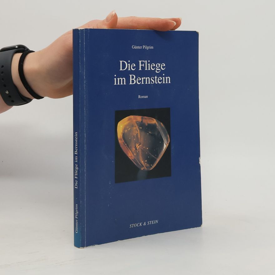 Günter Pilgrim Die Fliege im Bernstein