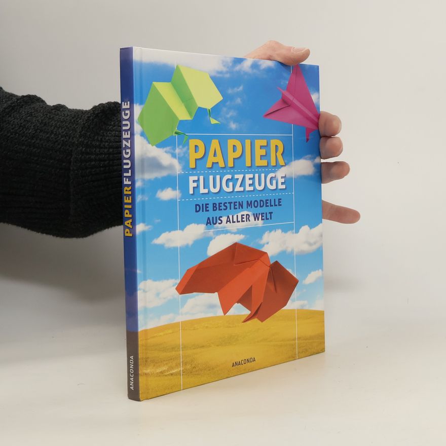Kolektiv autorů Papierflugzeuge