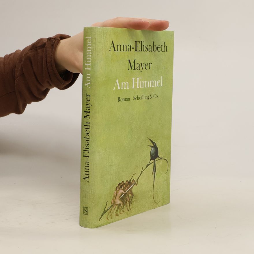 Elisabeth Mayer-Reithofer Am Himmel