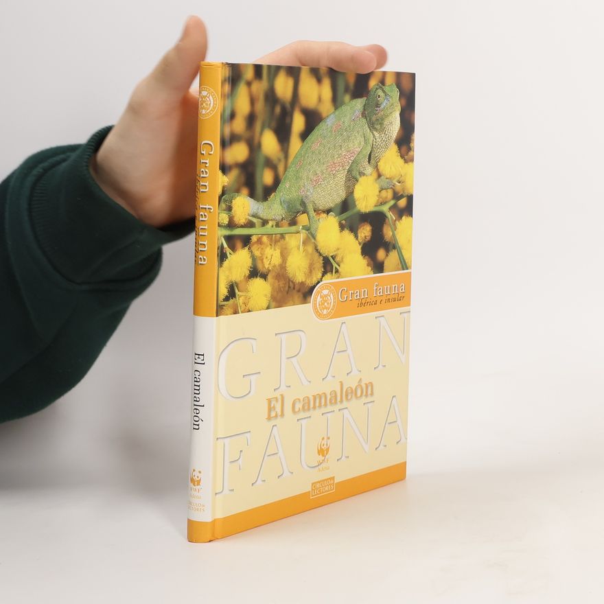Jorge Bartolomé Gran fauna: El camaleón