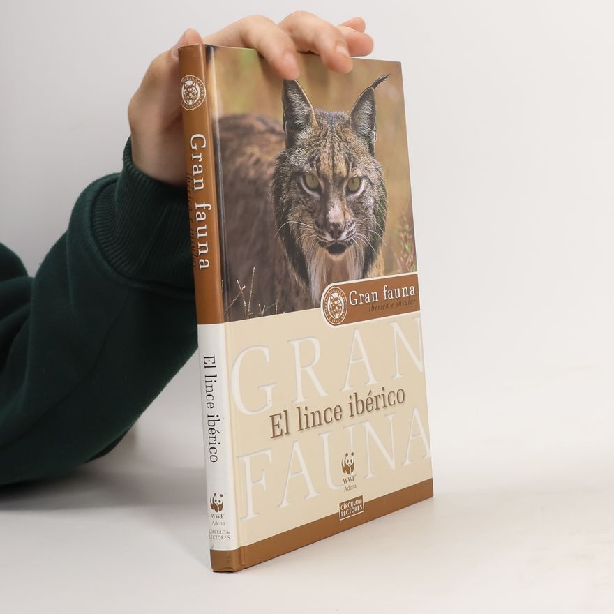 Jorge Bartolomé Gran fauna ibérica e insular: El lince ibérico