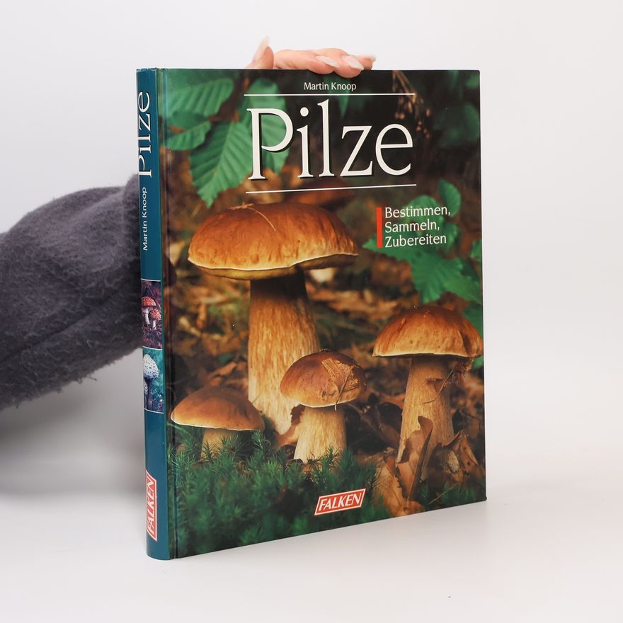 Martin Knoop Pilze