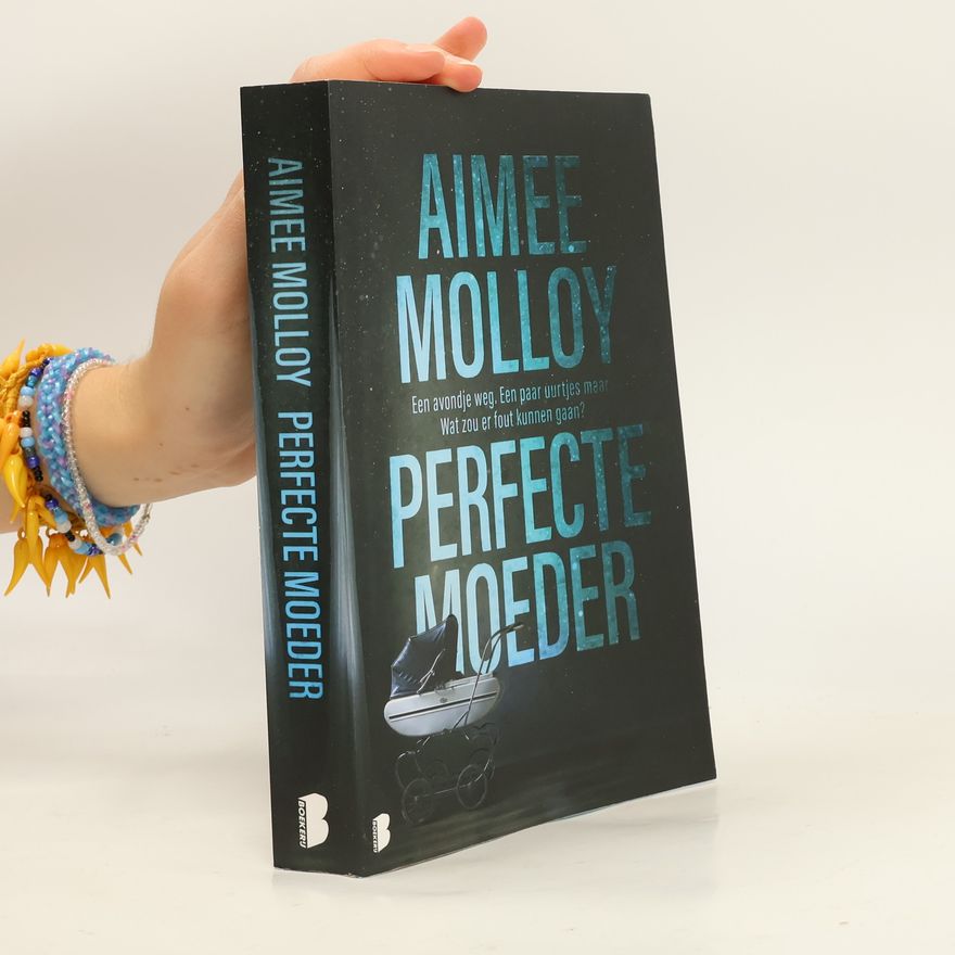 Aimee Molloy Perfecte moeder