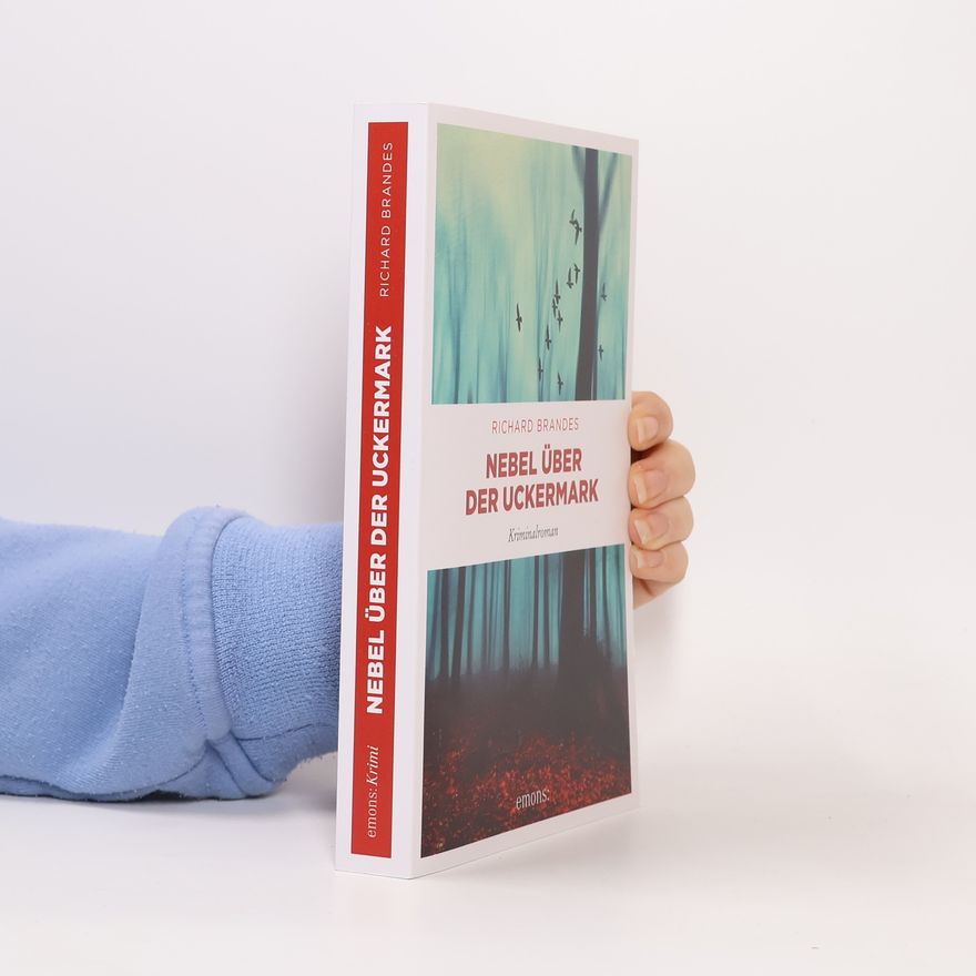 Richard Brandes Nebel über der Uckermark