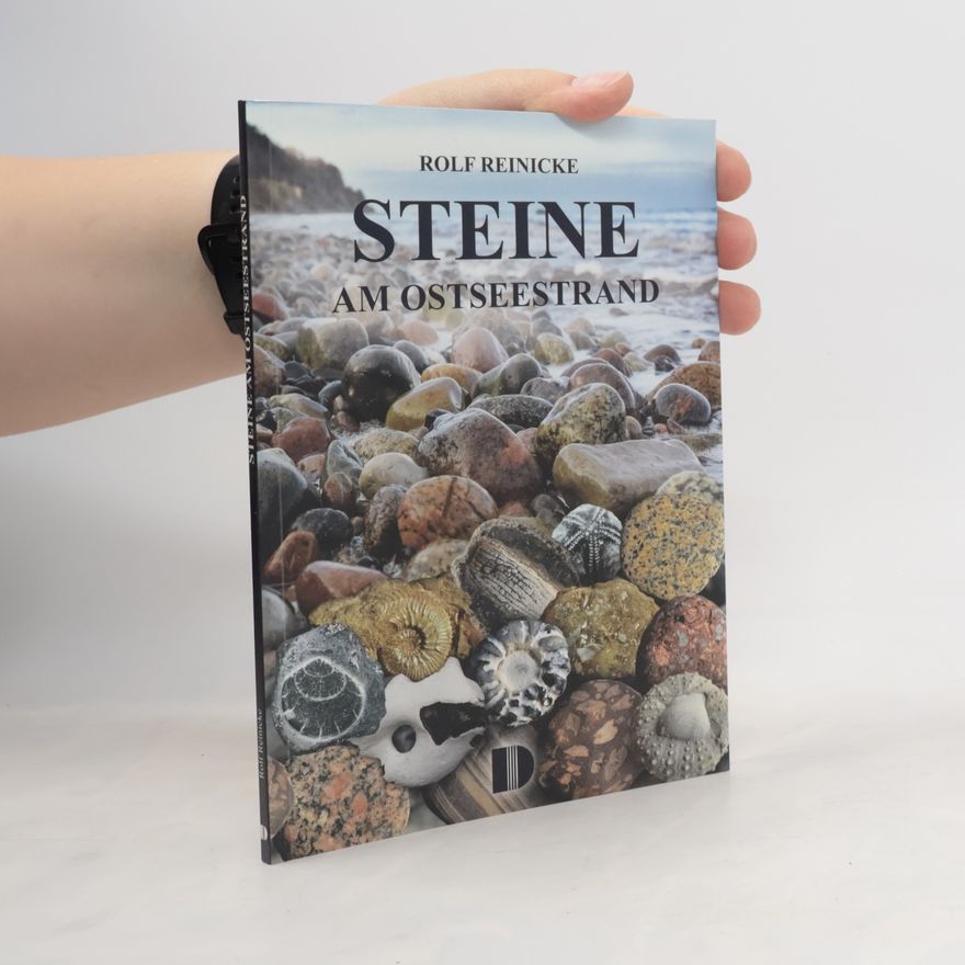 Rolf Reinicke Steine am Ostseestrand