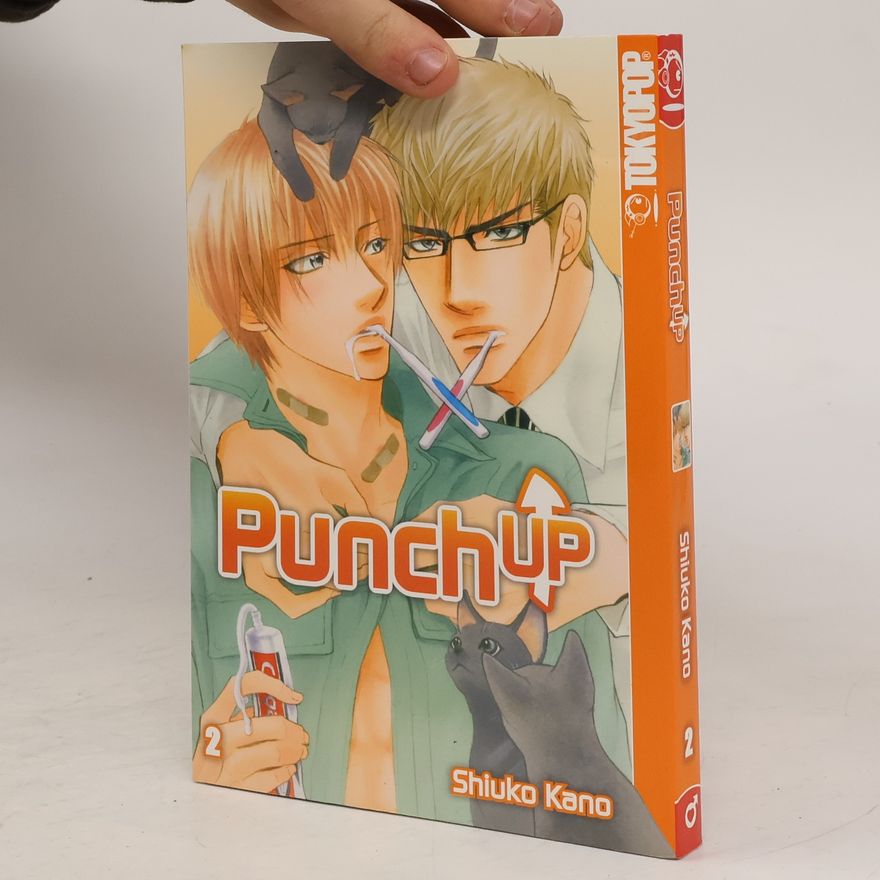 Shiuko Kano Punch up