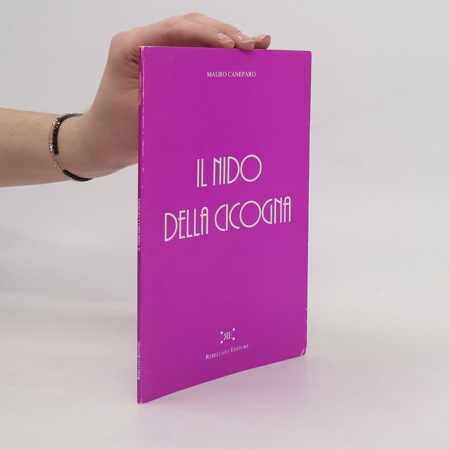 Mauro Caneparo Il nido della cicogna