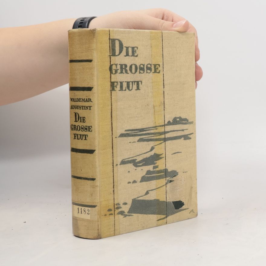Waldemar Augustiny Die grosse Flut