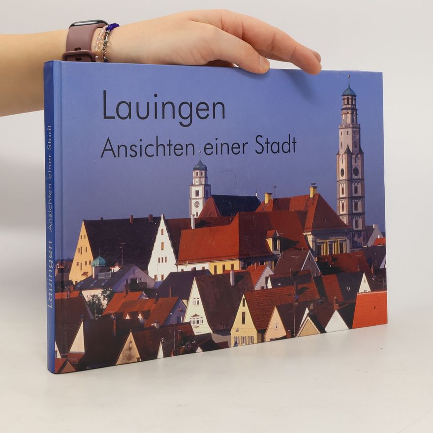 Bernhard Mayer Geschichte der Stadt Lauingen