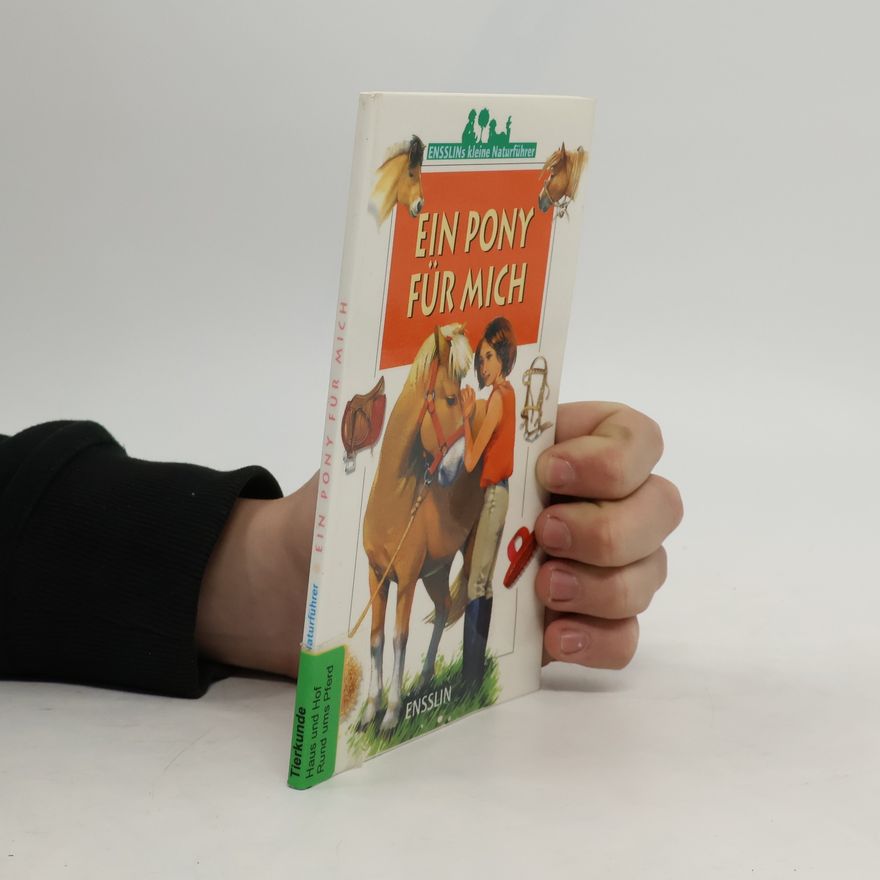 Gilles Delaborde Ein Pony für mich