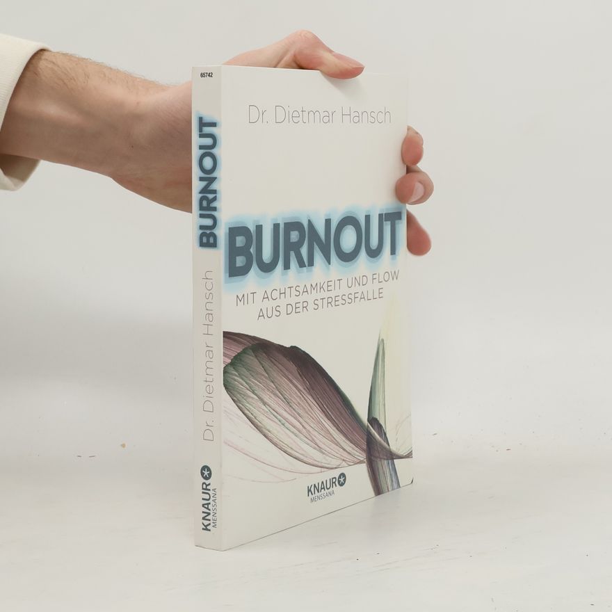 Dietmar Hansch Burnout