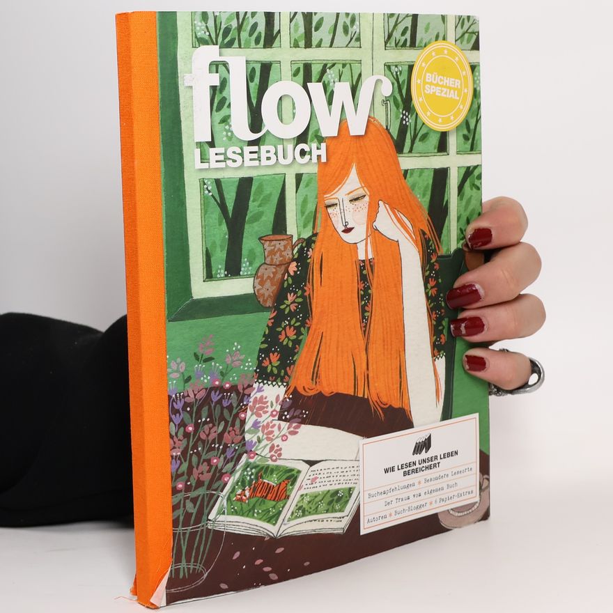 Kolektiv autorů Flow Lesebuch 2016