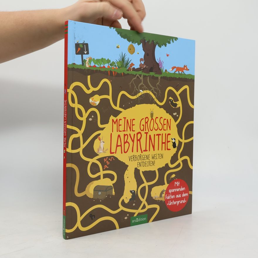Karine Balzeau Meine großen Labyrinthe