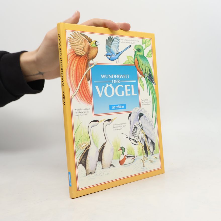 Rick Morris Wunderwelt der Vögel