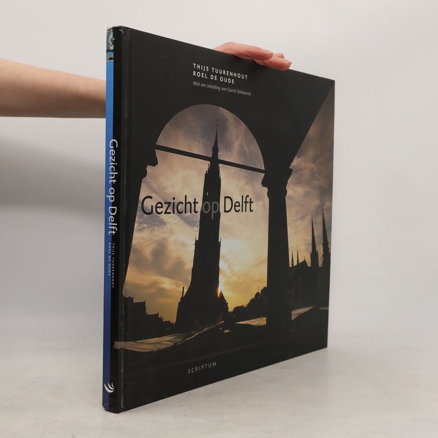 Roel de Oude Gezicht op Delft / druk 2