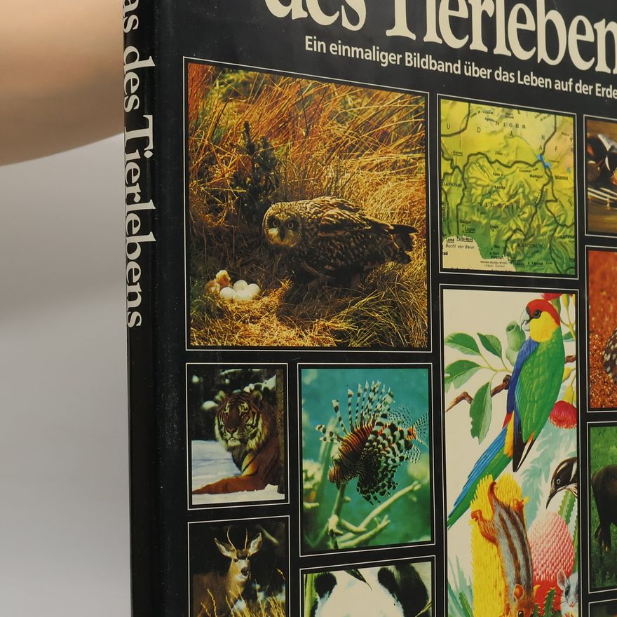 Collectif d'auteurs Grosser Atlas des Tierlebens
