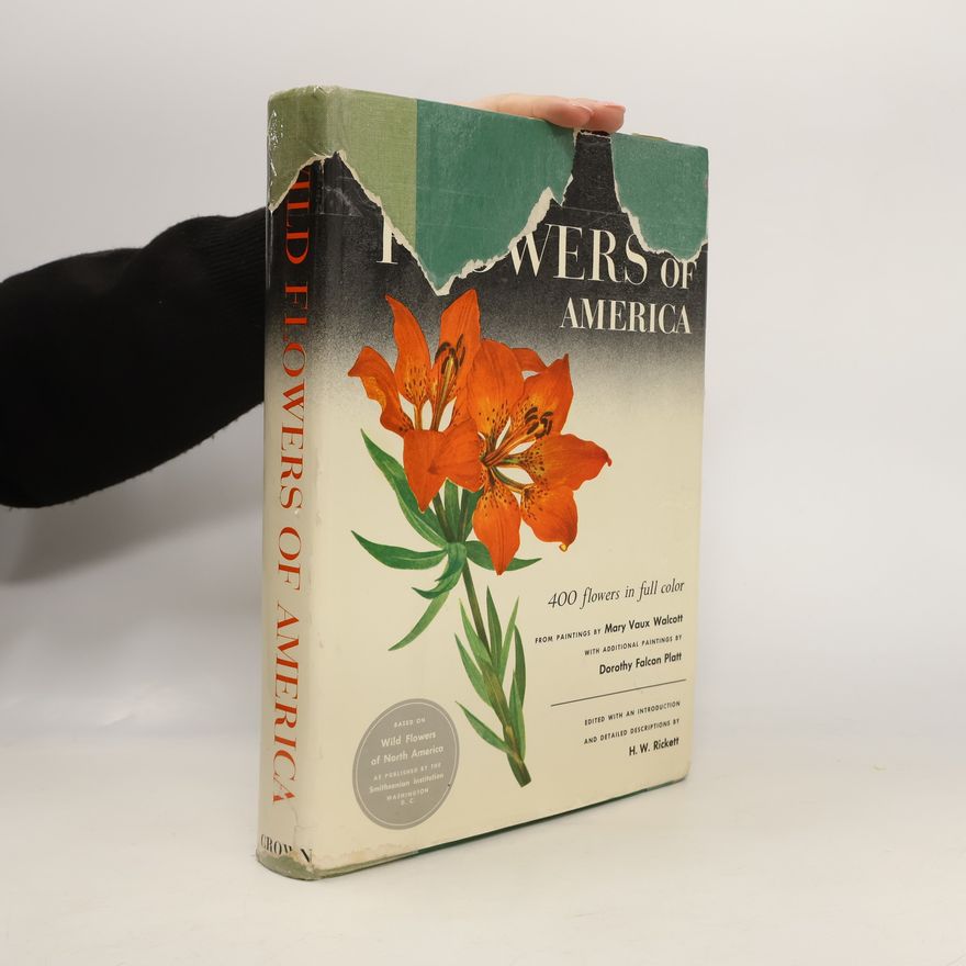 Dorothy Falcon Platt Wild Flowers of America