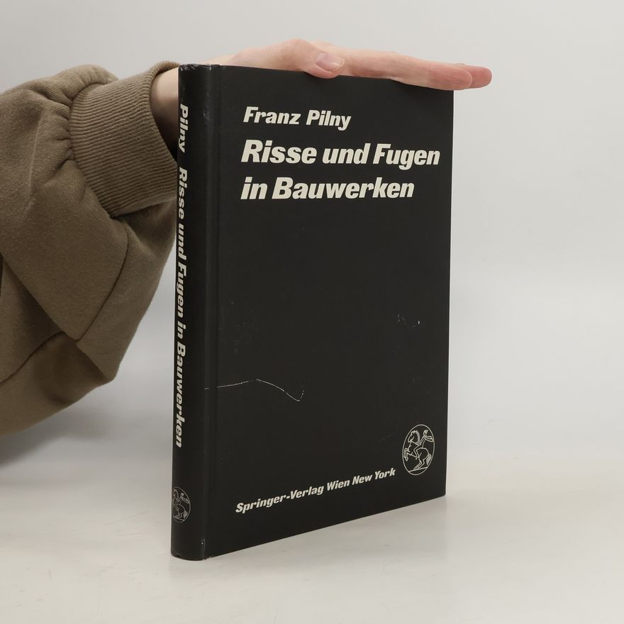 Franz Pilny Risse und Fugen in Bauwerken