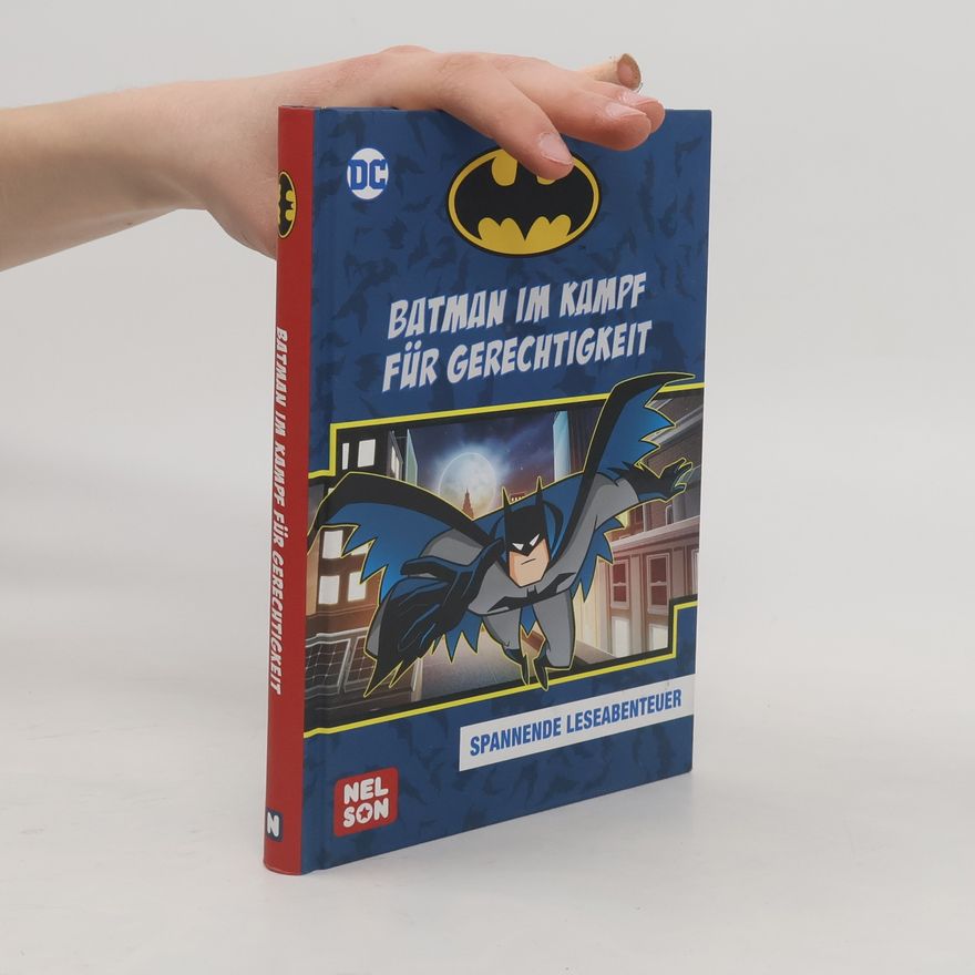 Blake Hoena DC Superhelden: Batman im Kampf für Gerechtigkeit