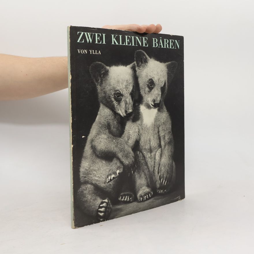 Ylla Zwei kleine Bären