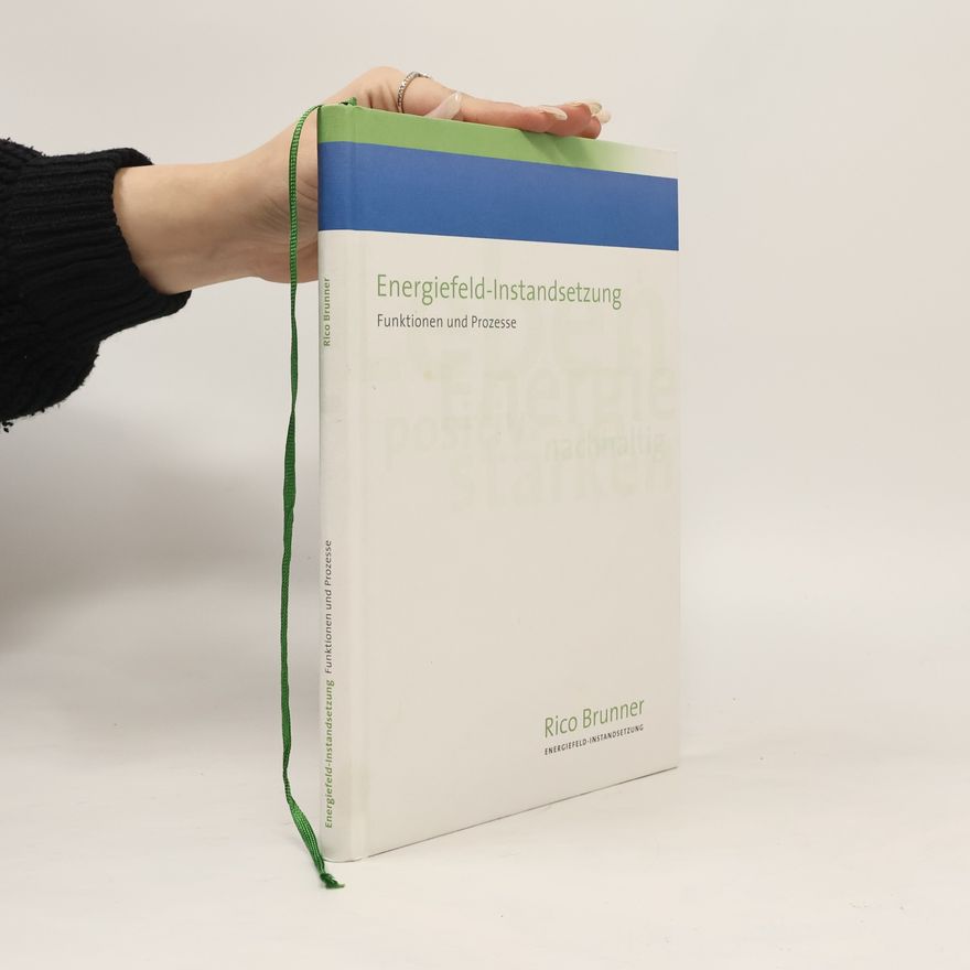 Rico Brunner Energiefeld-Instandsetzung