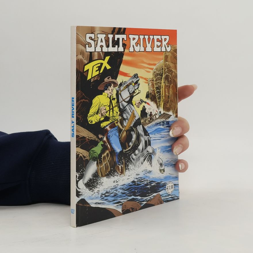 Autorenkollektiv Tex 627. Salt River