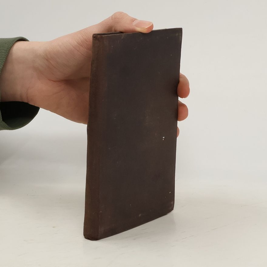Kolektiv autorů Des Lokomotiv-Ingenieurs Taschenbuch