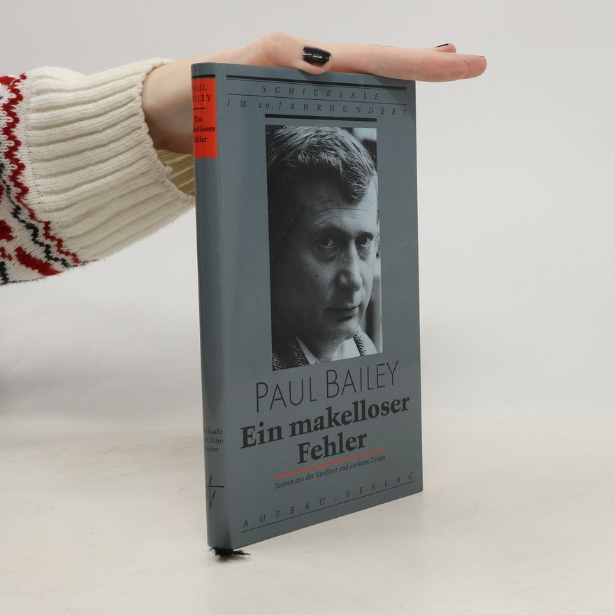 Paul Bailey Ein makelloser Fehler