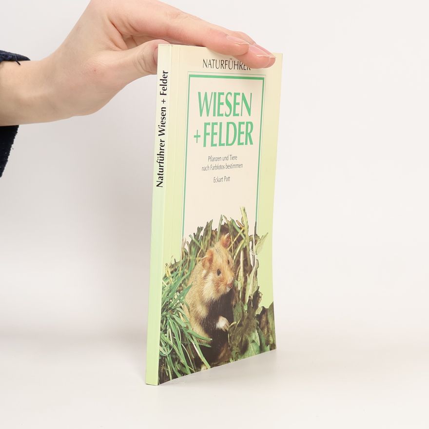 Eckart Pott Wiesen und Felder