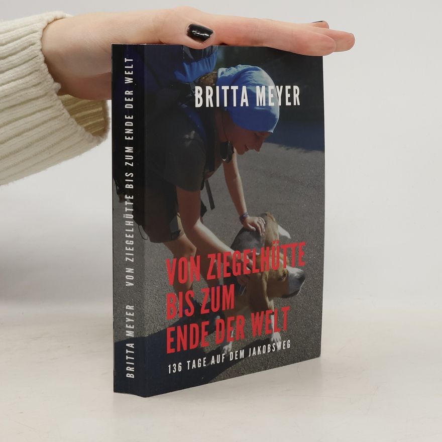 Britta Meyer Von Ziegelhütte bis zum Ende der Welt