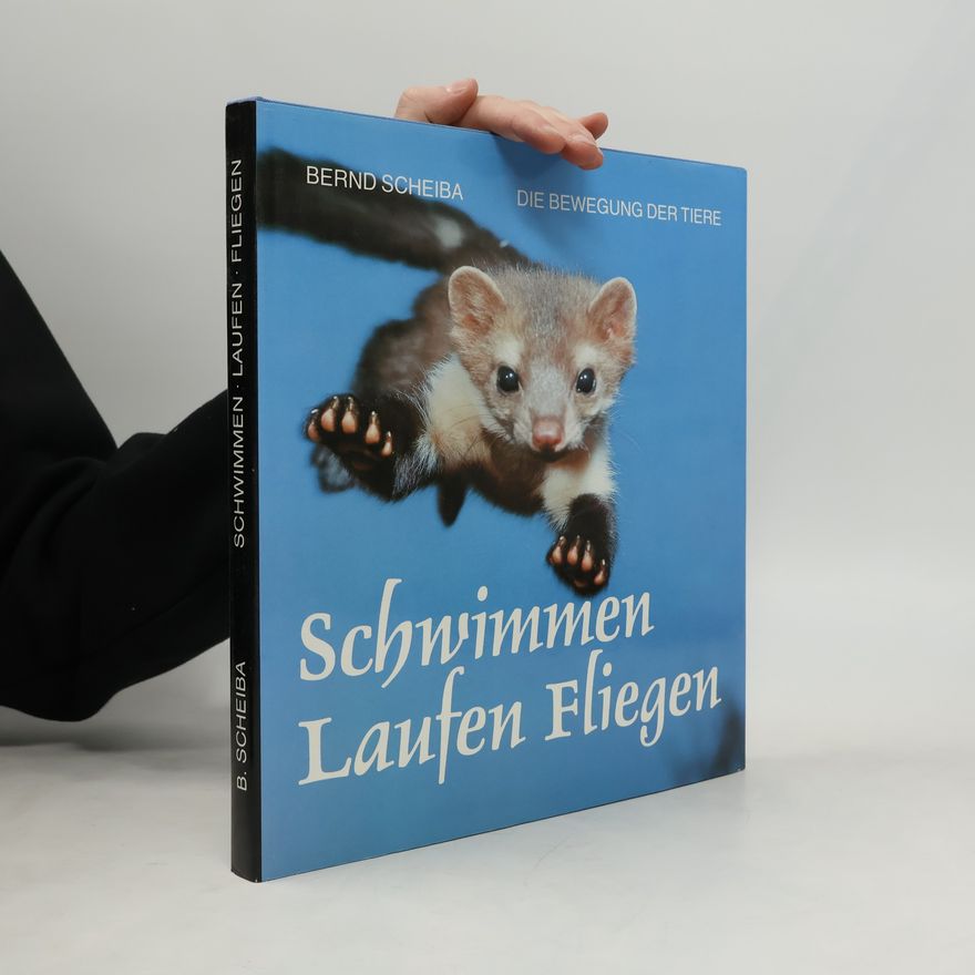 Bernd Scheiba Schwimmen, Laufen, Fliegen