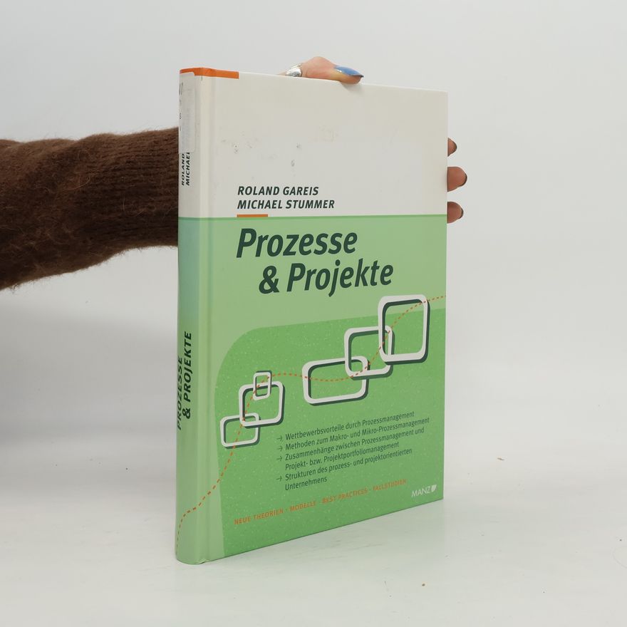 Michael Stummer Prozesse & Projekte