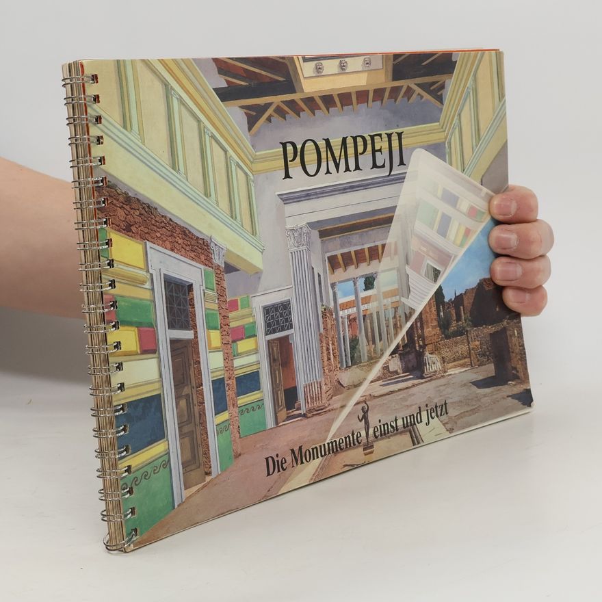 Kolektiv autorů Pompeji. Die Monumente einst und jetzt