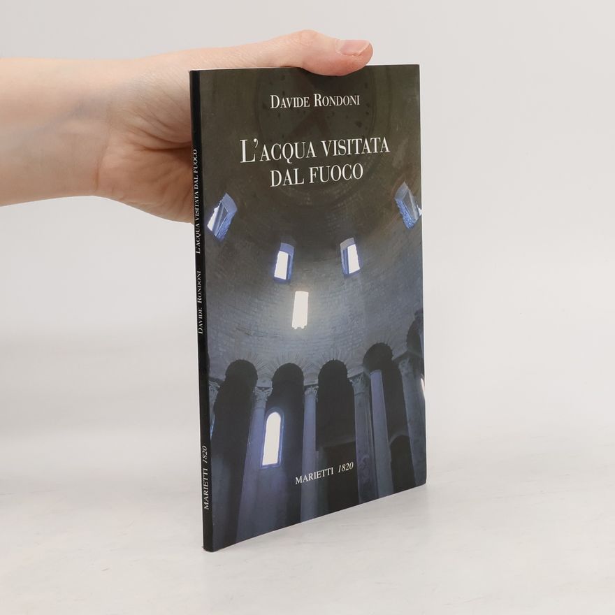 Davide Rondoni Piccola Biblioteca d'arte e letteratura - 4: L'acqua visitata dal fuoco