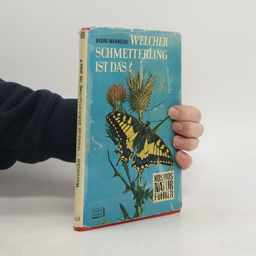 Georg Warnecke Welcher Schmetterling ist das?