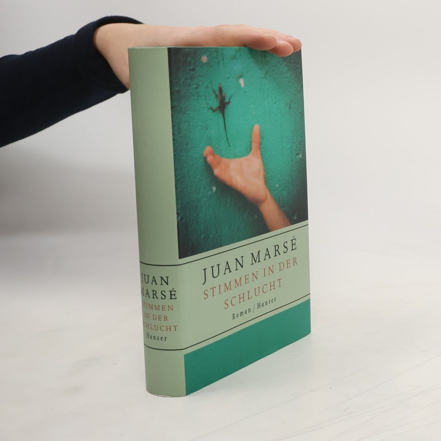 Juan Marsé Stimmen in der Schlucht