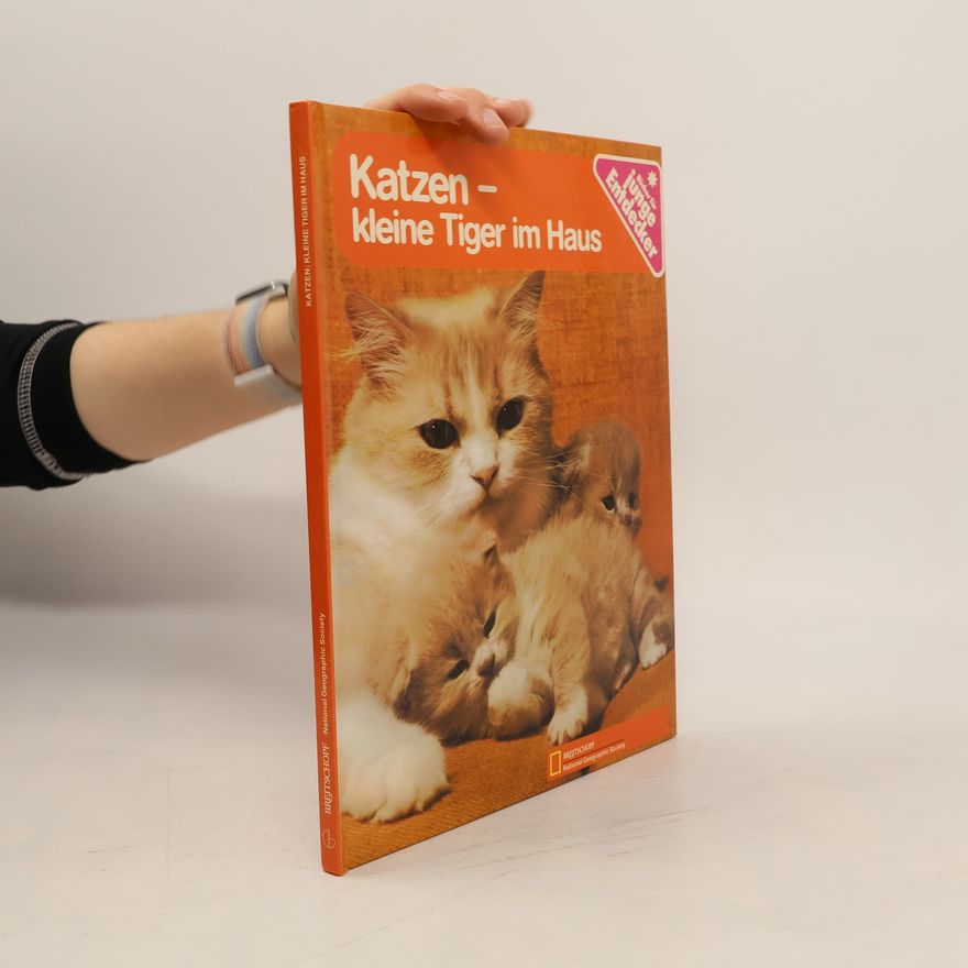 Autorenkollektiv Katzen. Kleine Tiger im Haus