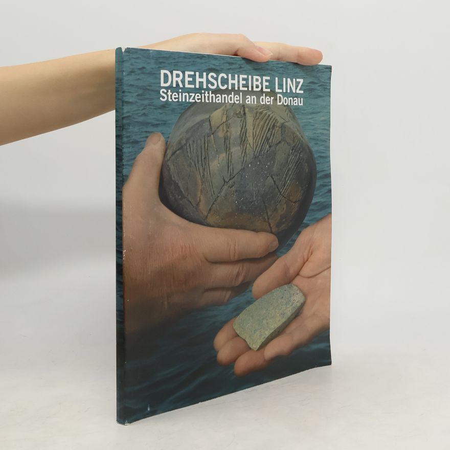 Alexander Binsteiner Drehscheibe Linz
