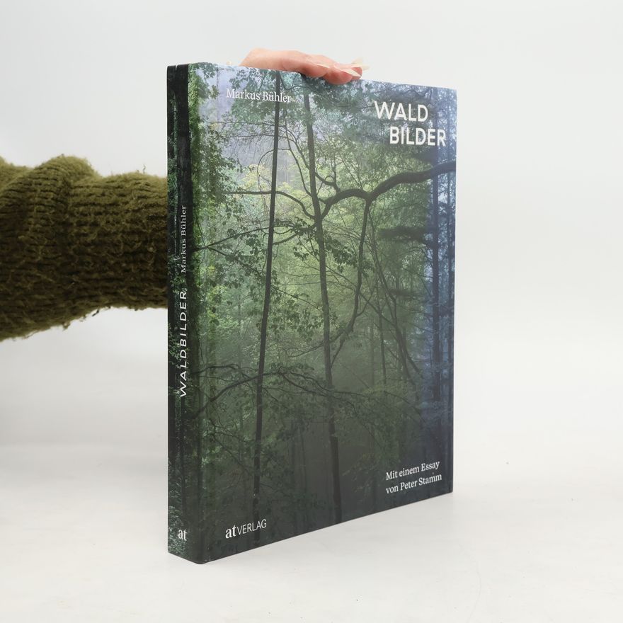 Markus Bühler Waldbilder